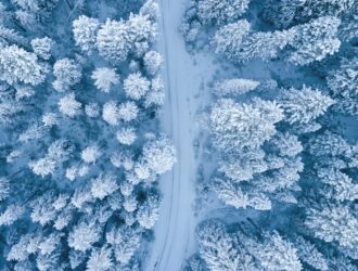 aerial photography of snow covered trees