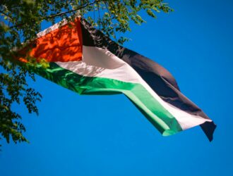 palestine flags waving behind tree